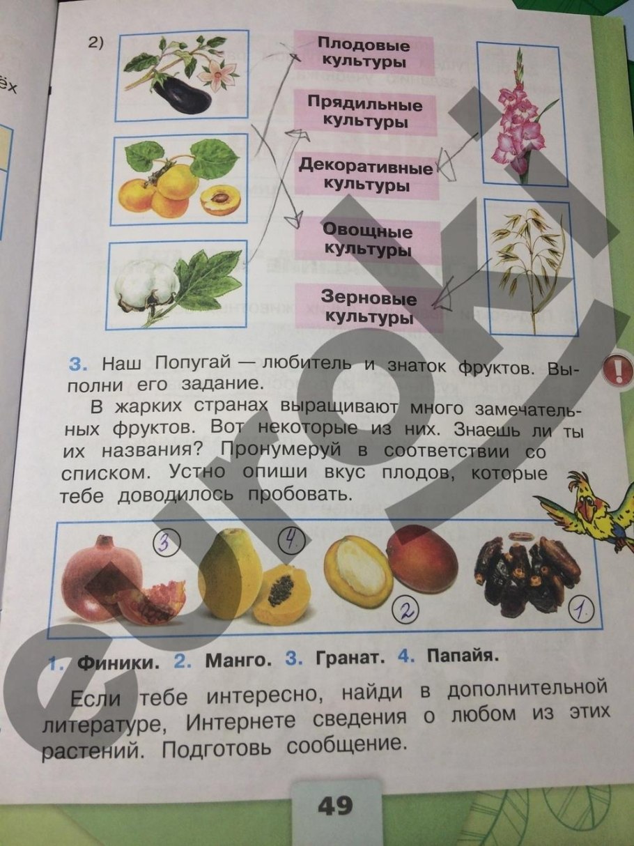 Окружающий мир 1 класс 2 часть стр 3