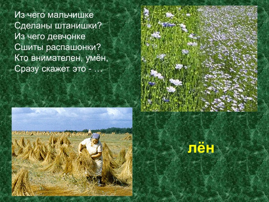 Культурные растения