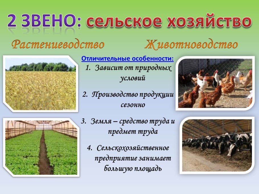 Зеленая революция в сельском хозяйстве