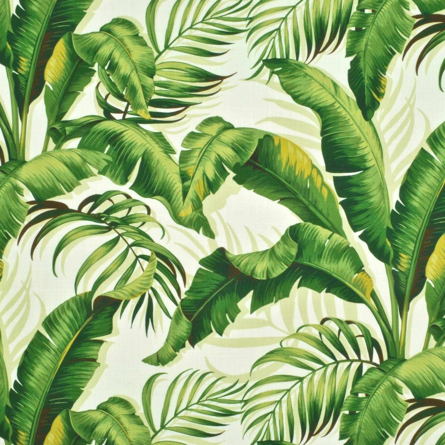 Тропические цветы на белом фоне