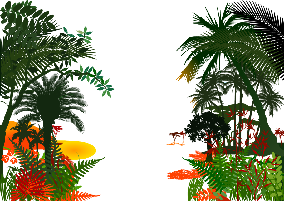 Стрелиция Королевская Райская птица