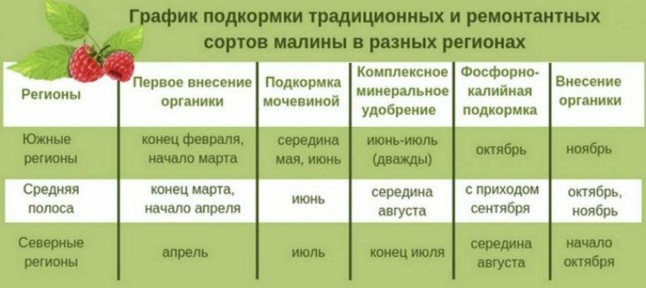 Схемы подкормка ремонтантной малины