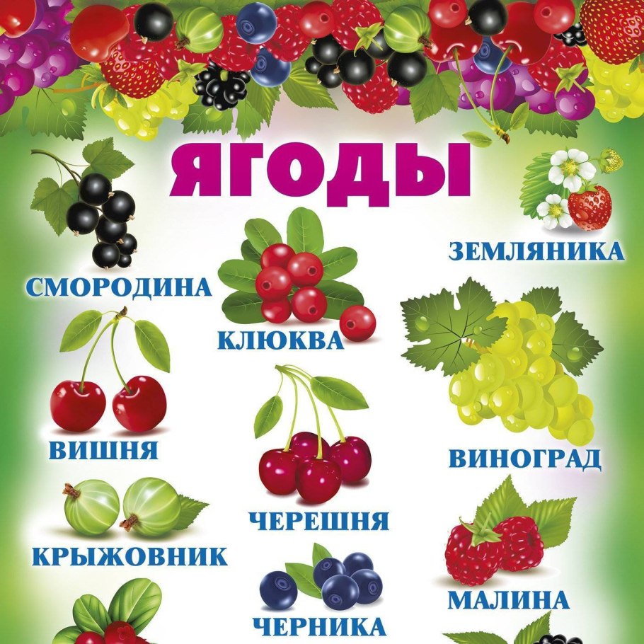 Соседство культур на грядках таблица
