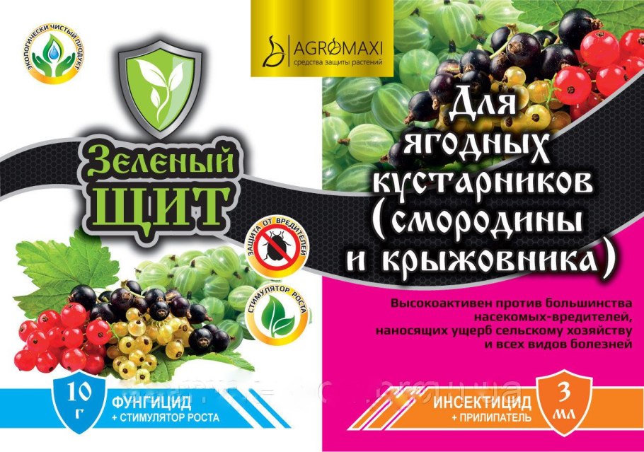 Когда и какие ягоды зреют