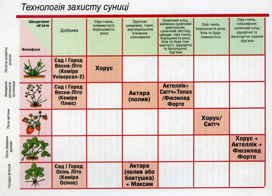 Фунгицид для крыжовника