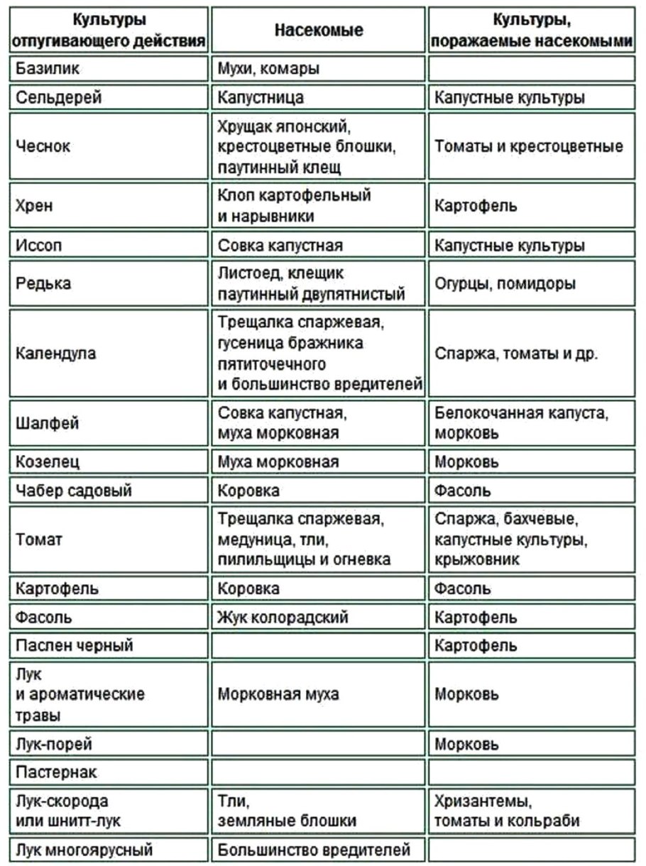 Таблица несовместимых продуктов питания