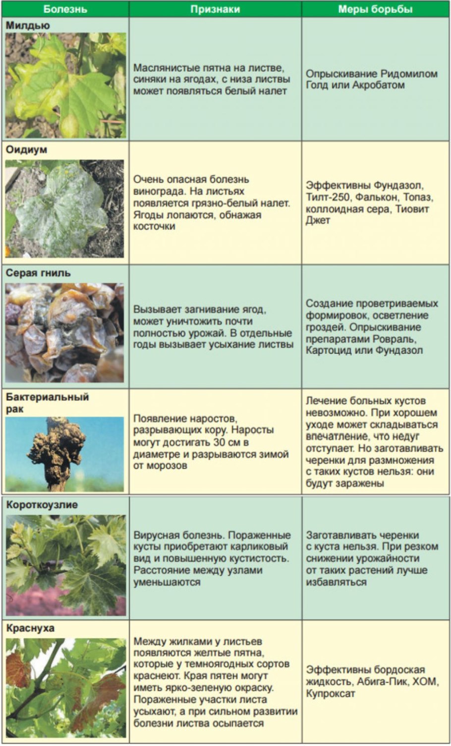 Сочетание витаминов и минералов таблица