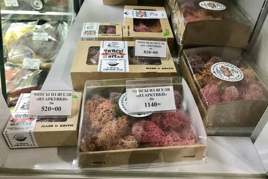 Аспицилия лишайник