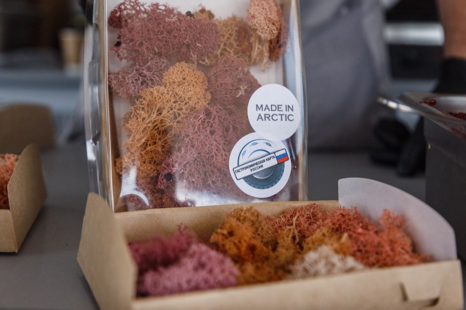 Аспицилия съедобная