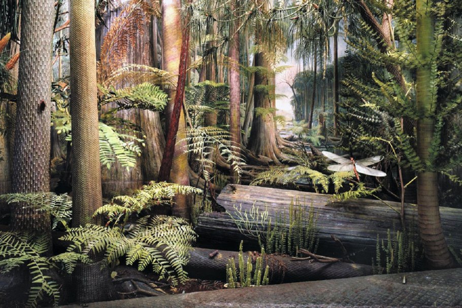 Кайнозой палеоген растения