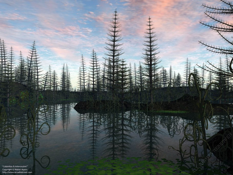 Каламит каменноугольный период