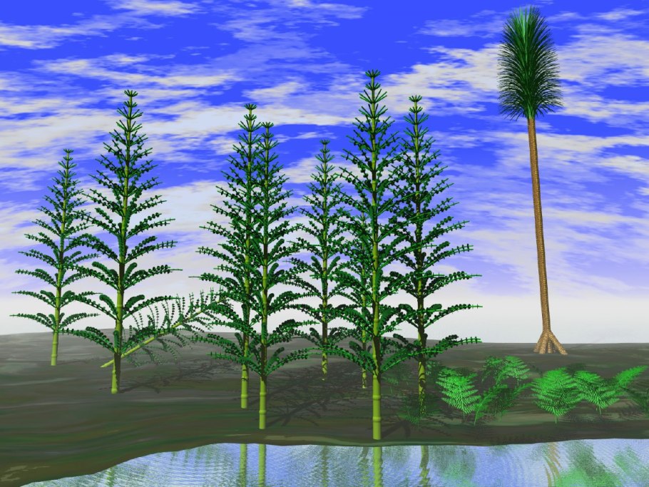 Каламиты это древние хвощи