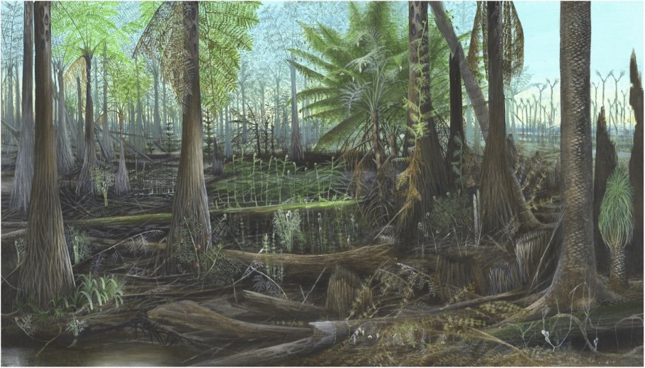 Карбон период палеозойской эры