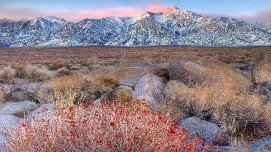 Первый снег фото красивые