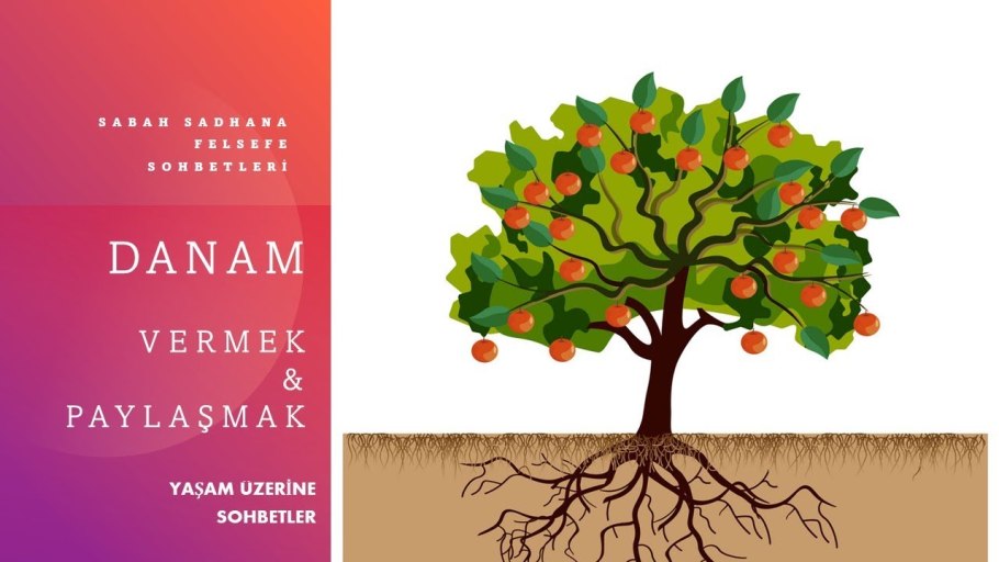 Корневая система ели обыкновенной схема