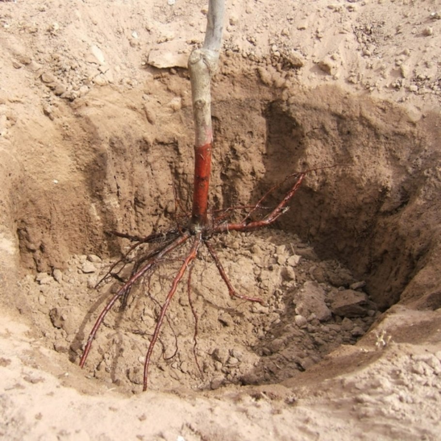 Корчевание пней Герасимов