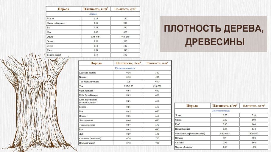 Плотность сухой древесины разных пород