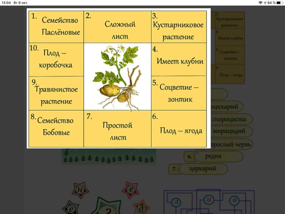 Форма листа одуванчика
