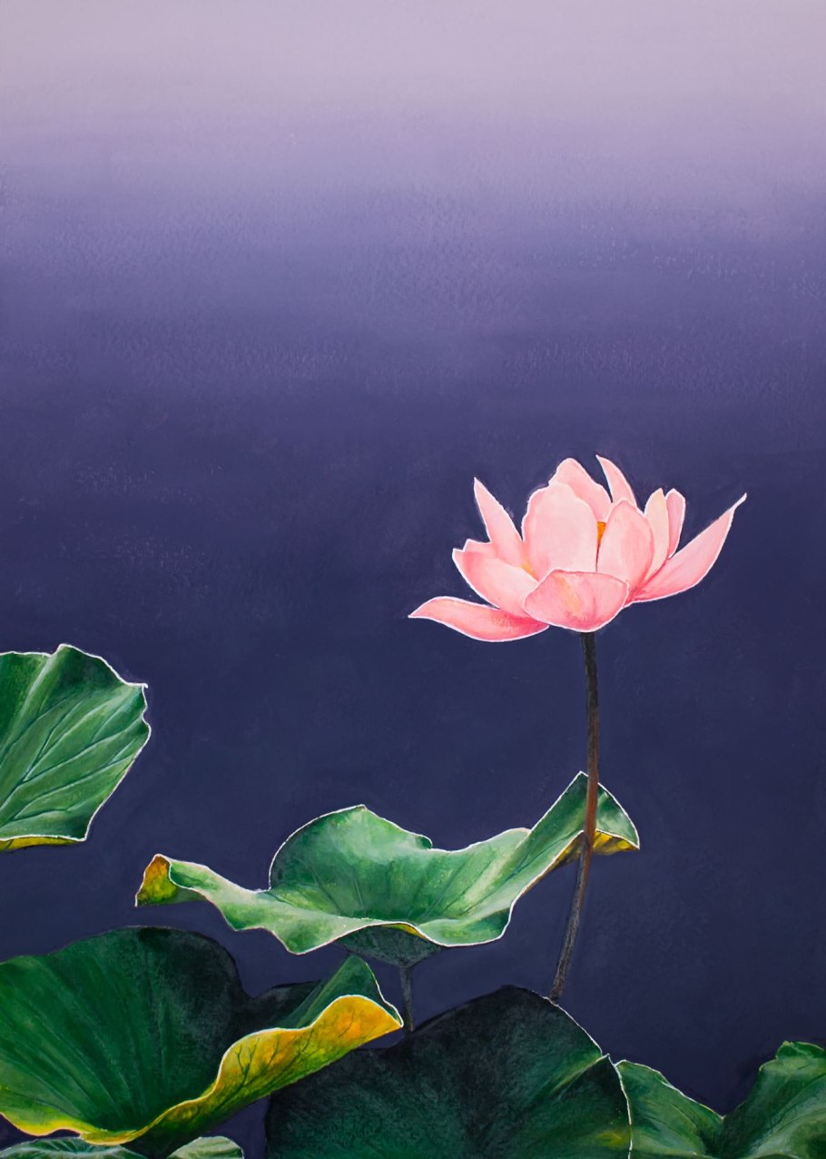 Лотос арт на кувшинке