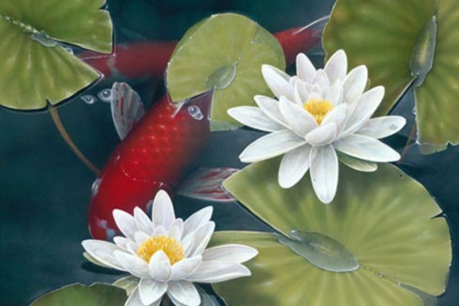 Карпы кои Терри Жилецки