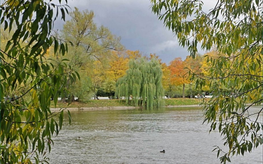 Ива осенняя конференция 29 ноября