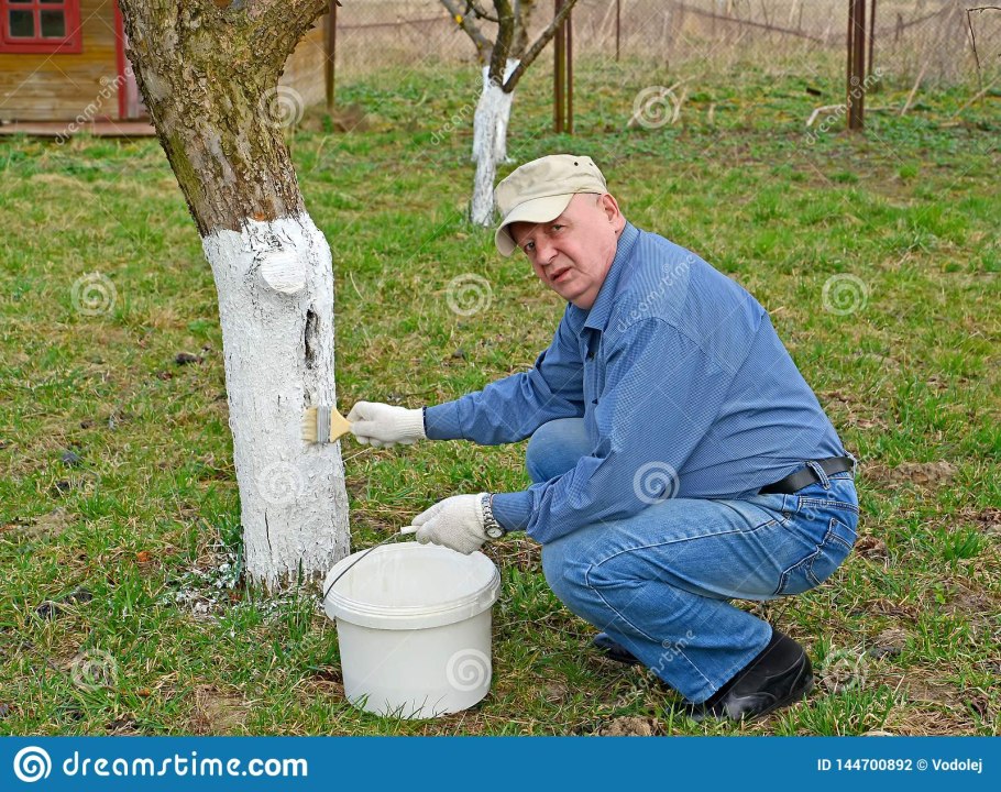 Обрезка облепихи осенью схема