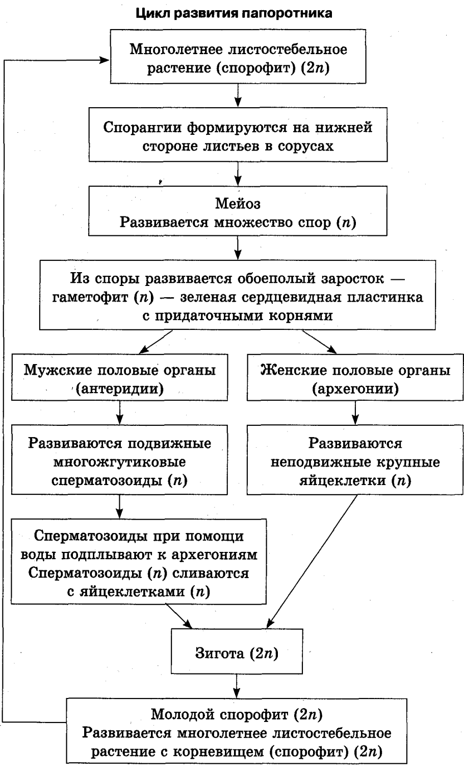 двойное оплодотворение у покрытосеменных растений проникновение фото 79