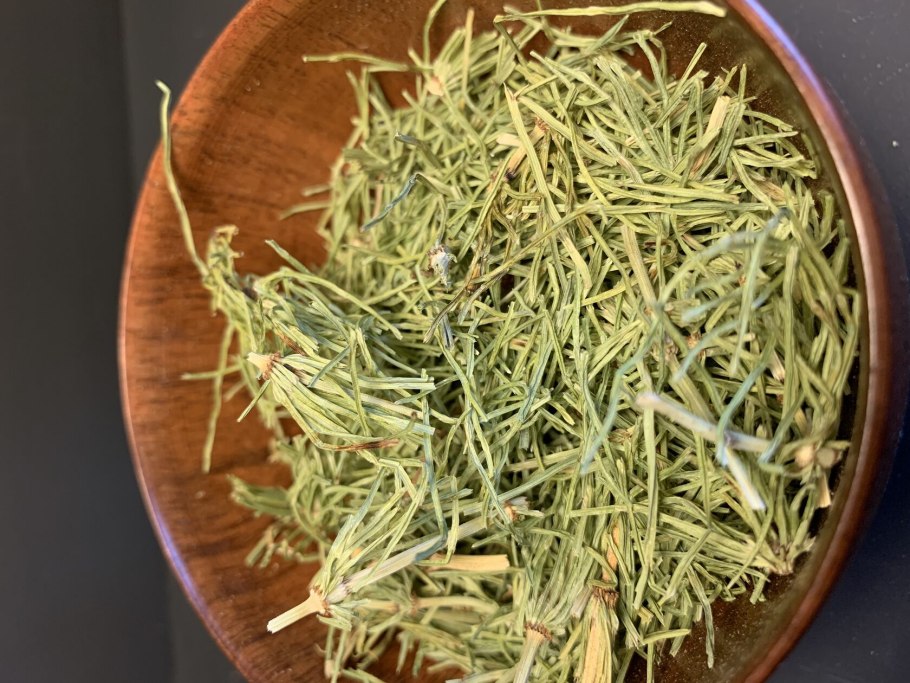 Суккулент хатиора