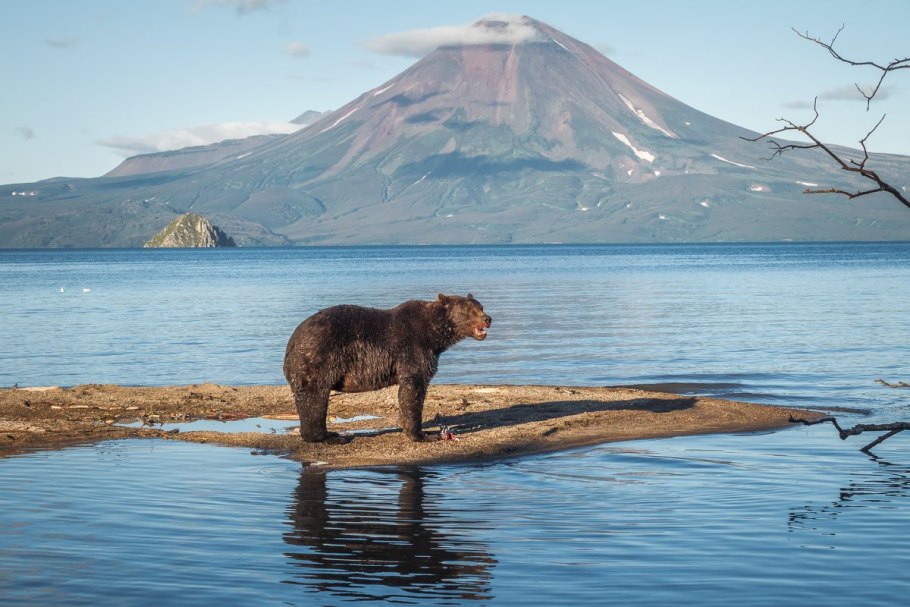 Курильского озера Кроноцкого заповедника