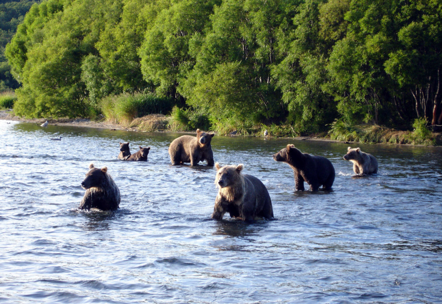 Река Тымь Сахалин
