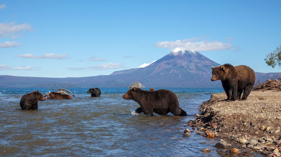 Южно-Камчатский заказник Курильское озеро