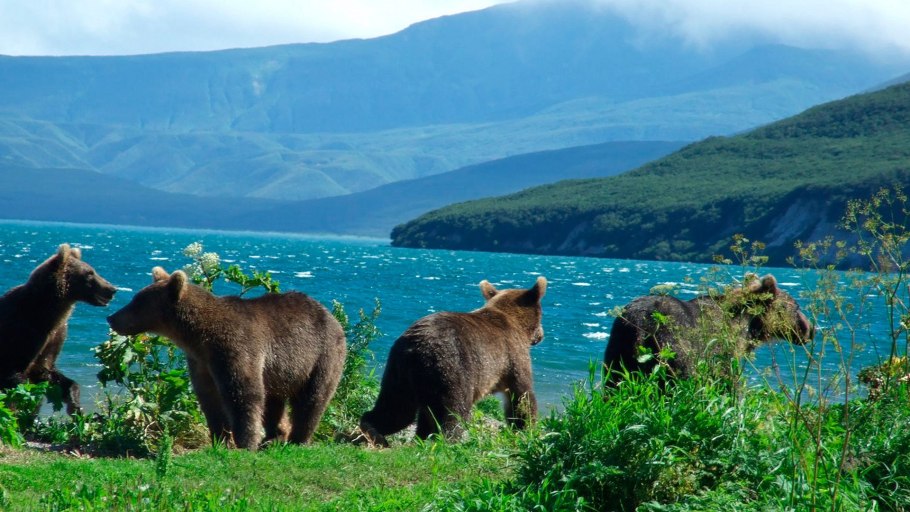 Петропавловск-Камчатский озеро Курильское