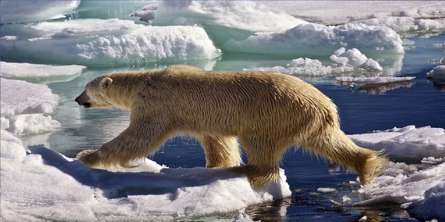 Заповедник Медвежьи острова в Якутии