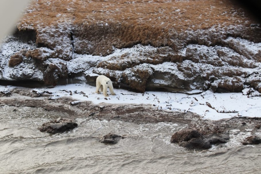 Медвежьи острова Якутия