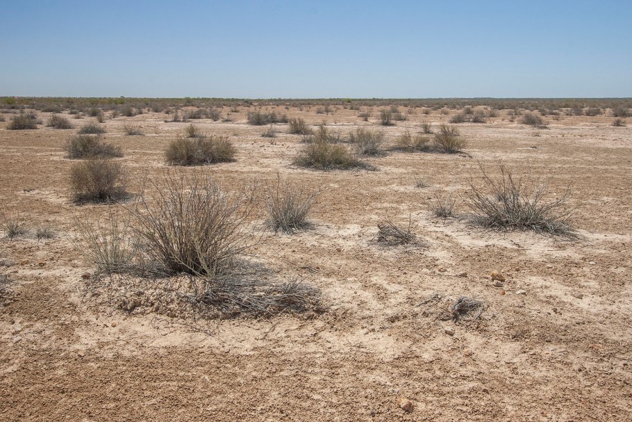 Пустыня Стшелецкого в Австралии