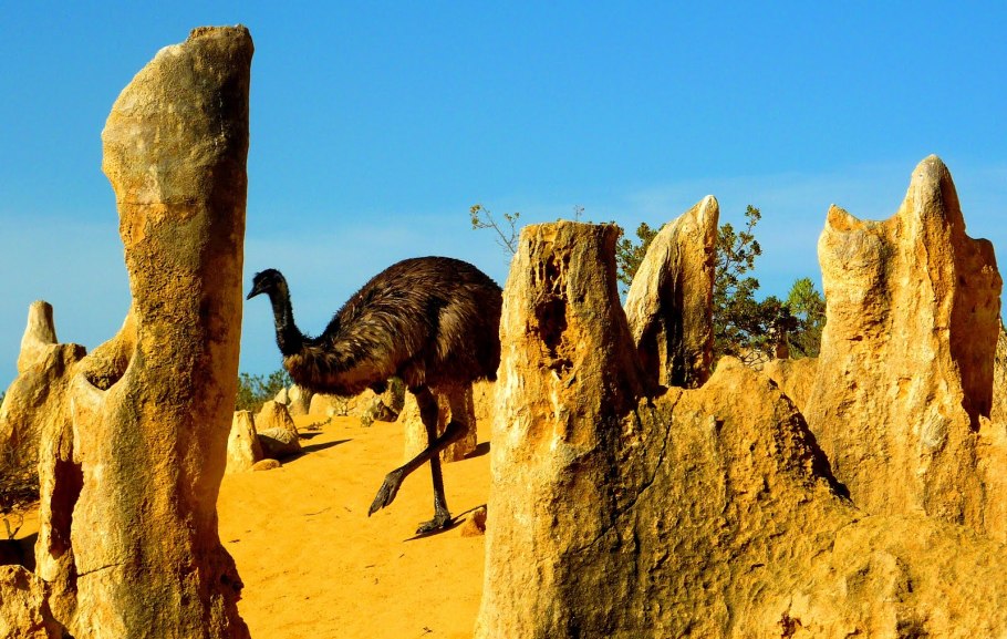 Пустыни Австралии