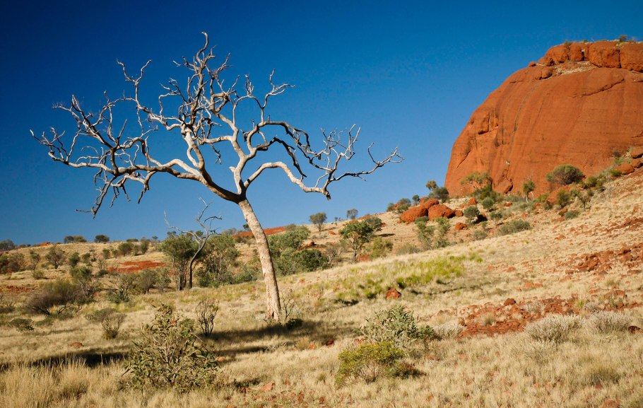 Аутбэк Австралия