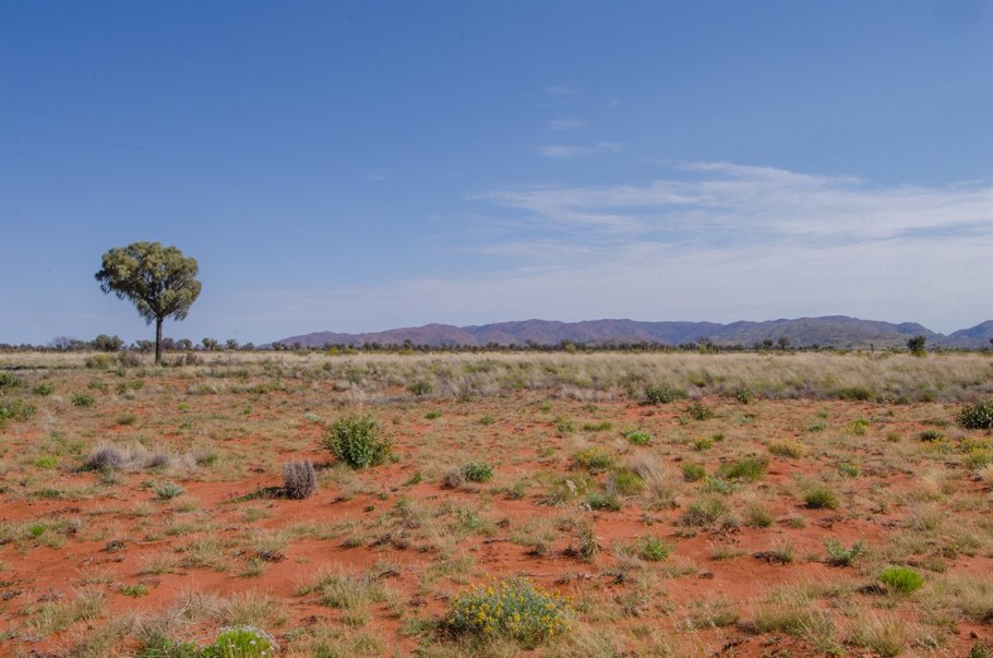 Австралийский Буш (скрэб)