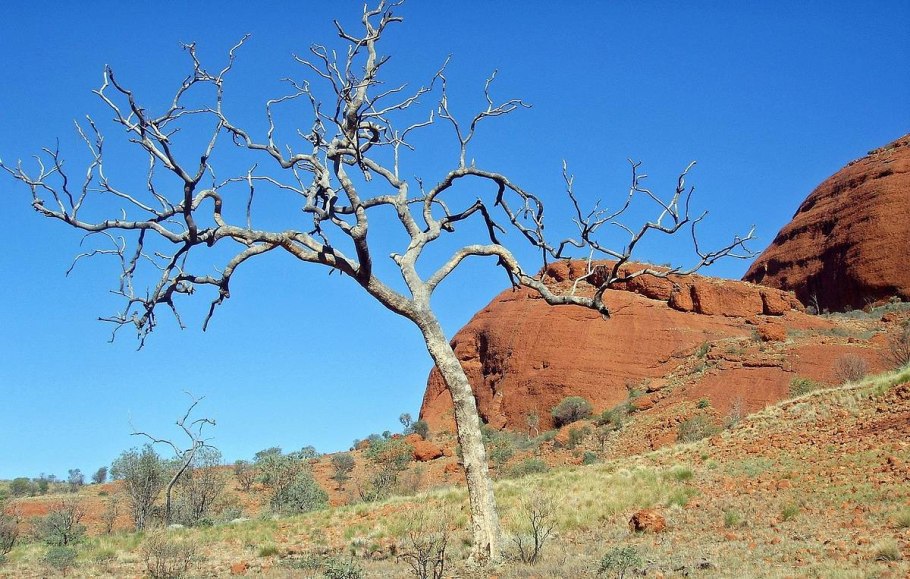 Австралия засушливый материк