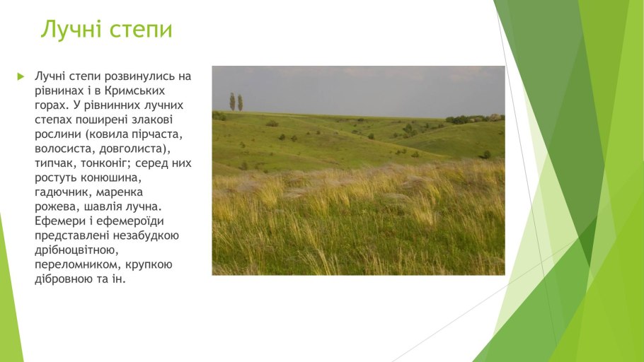 Зона степів України міста що в них