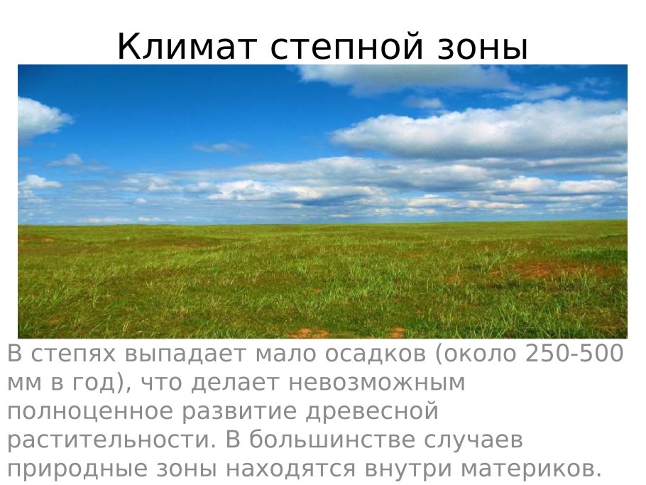 Климат лесостепи и степи в Евразии