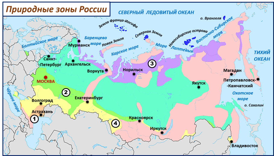 Карта природных зон РФ 8 класс