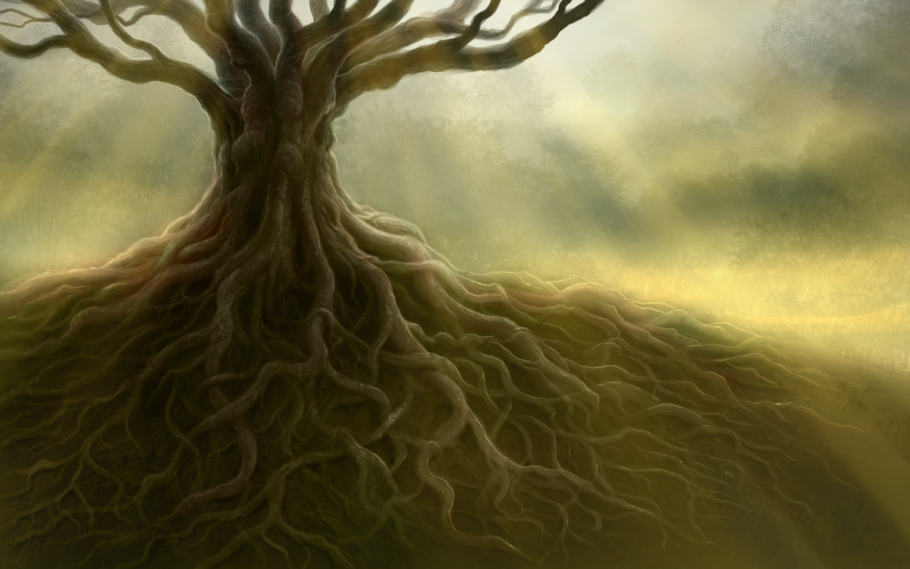 Дерево Тунси