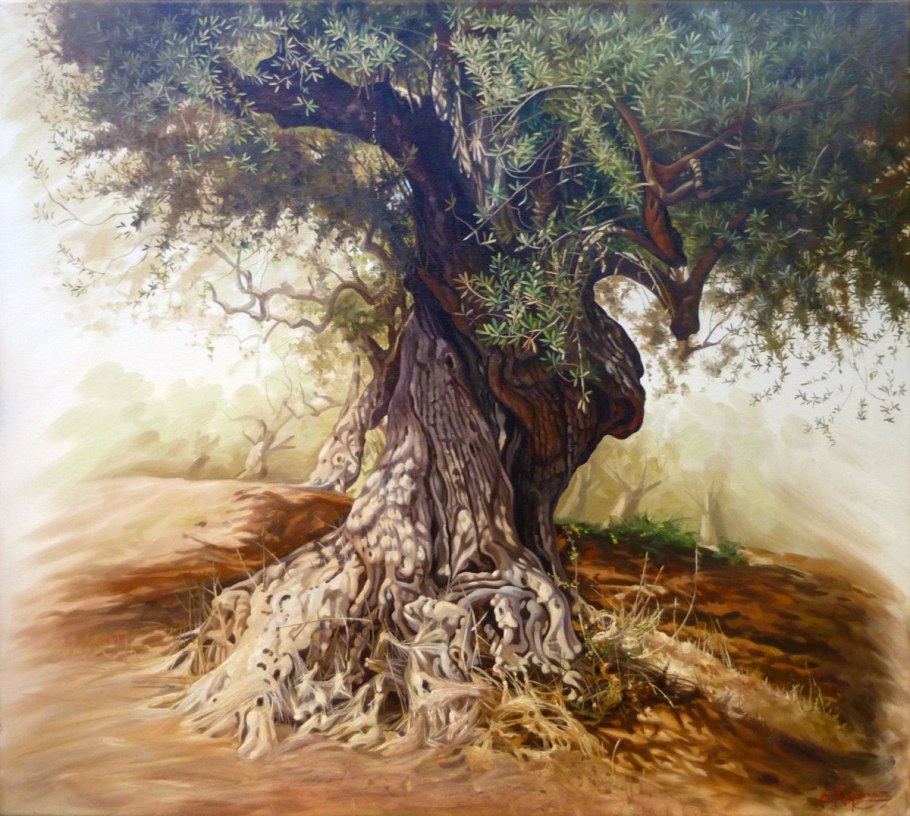 Корни больших деревьев