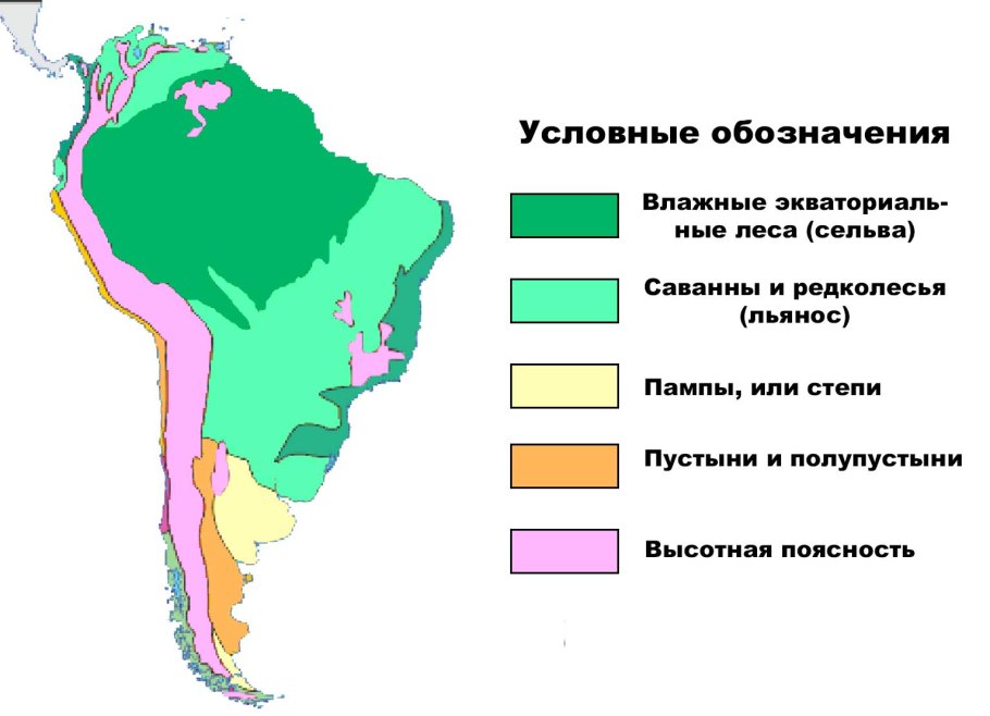 Карта природных зон Южной Америки