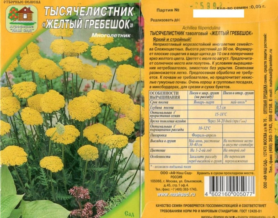 Тысячелистник желтый гребешок