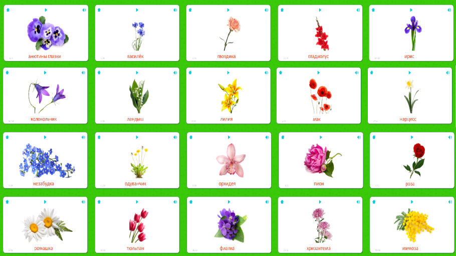 Степные медоносные травы Крыма