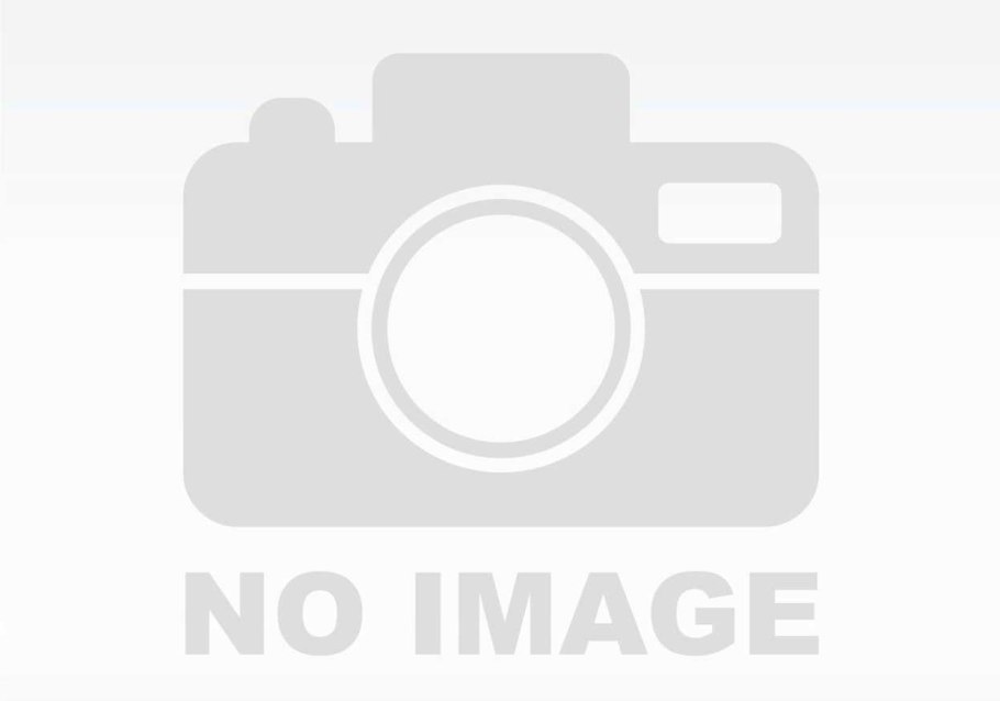 Пляж в Сестрорецке на финском заливе