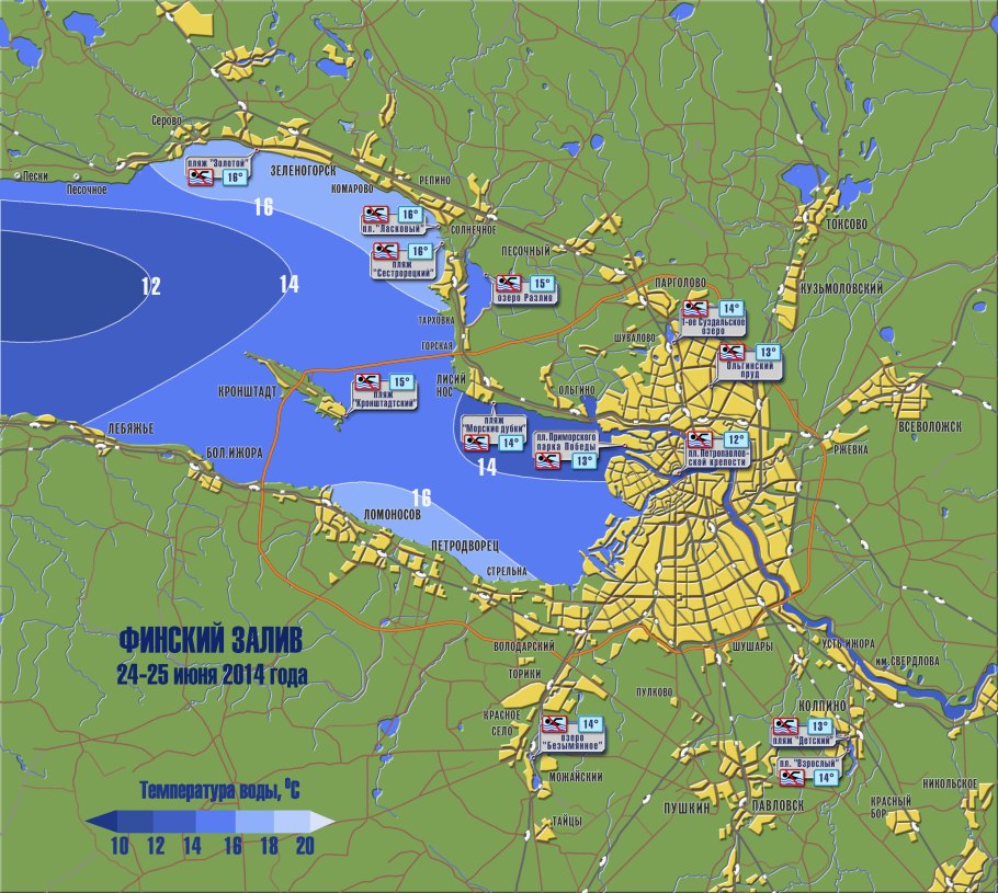 Морские зеленые водоросли спирогира