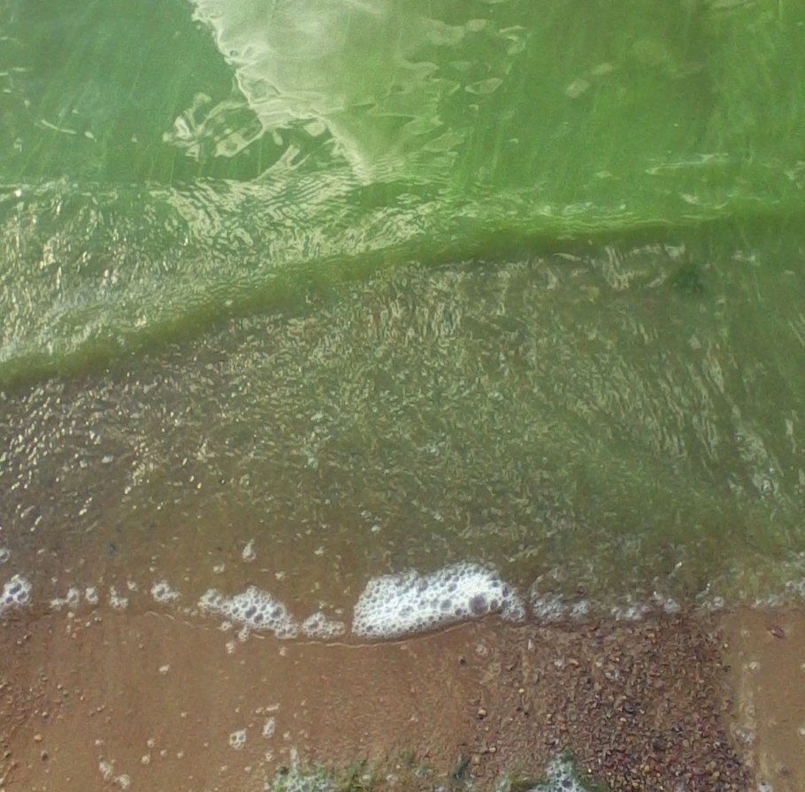 Зеленая вода в заливе